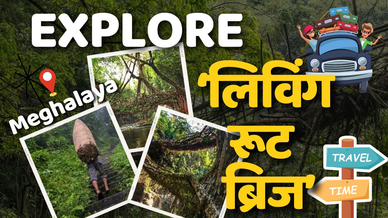 living root bridge: मेघालय के ‘लिविंग रूट ब्रिज’ हैं बेहद कमाल