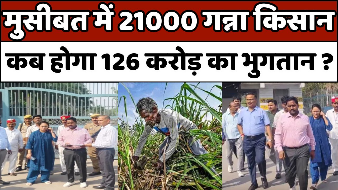 मकसूदापुर चीनी मिल का गोदाम सील