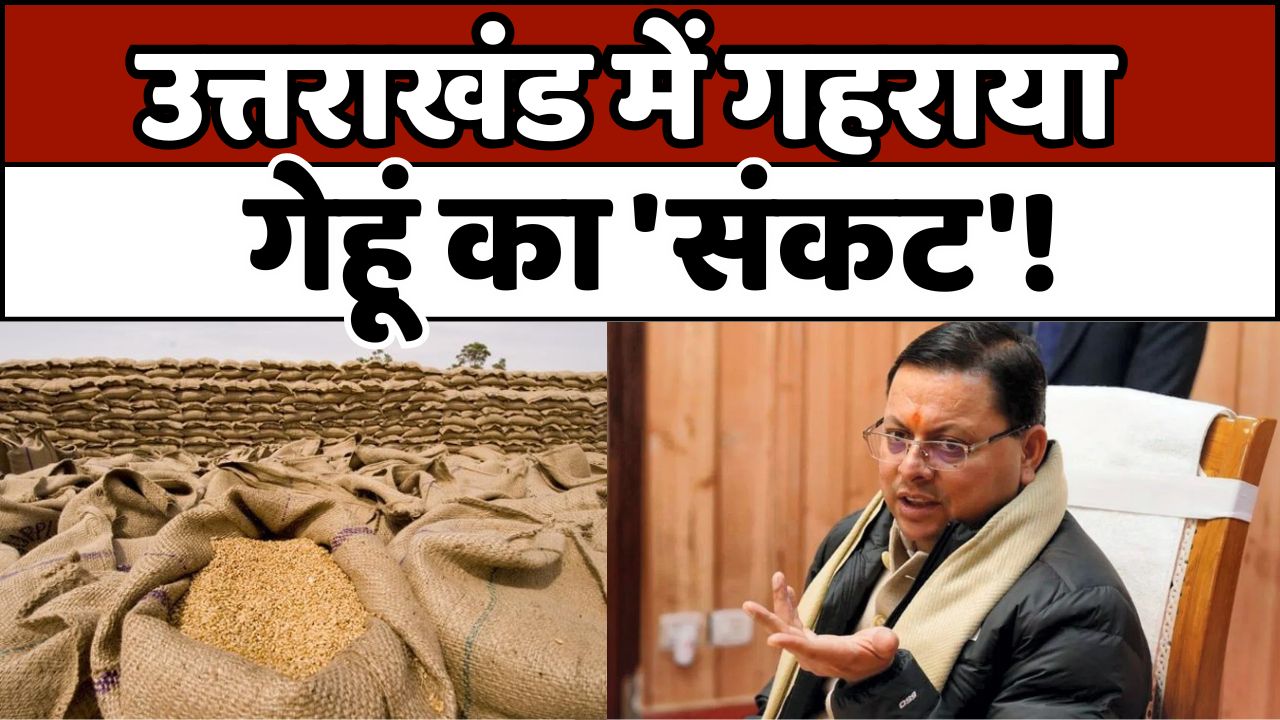 Wheat crisis: उत्तराखंड में गहराया गेहूं का 'संकट'!