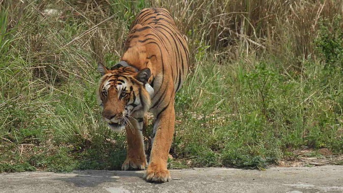 WhatsApp Image 2025 06 27 at 2.37.49 PM