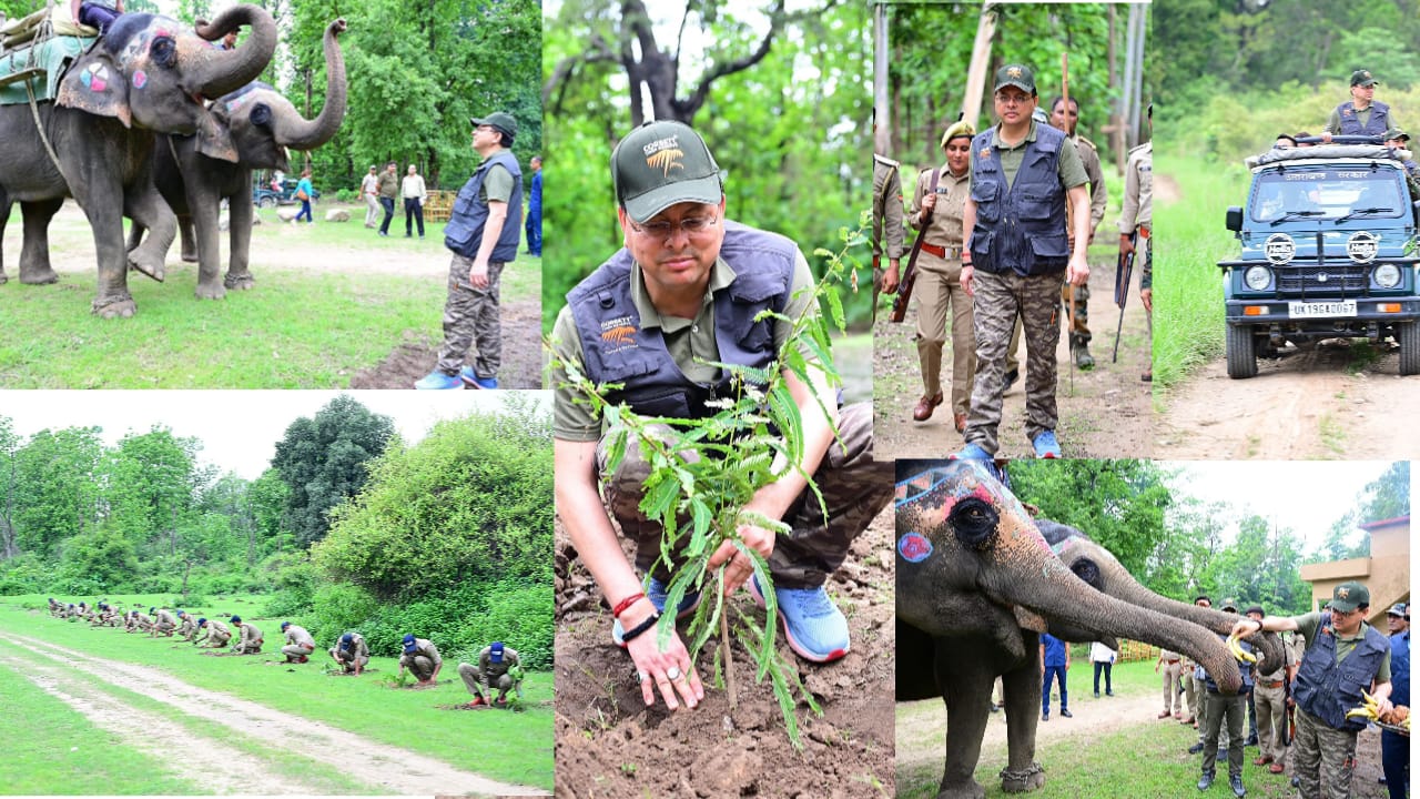 UK: उत्तराखंड वन विभाग की बड़ी लापरवाही आई सामने