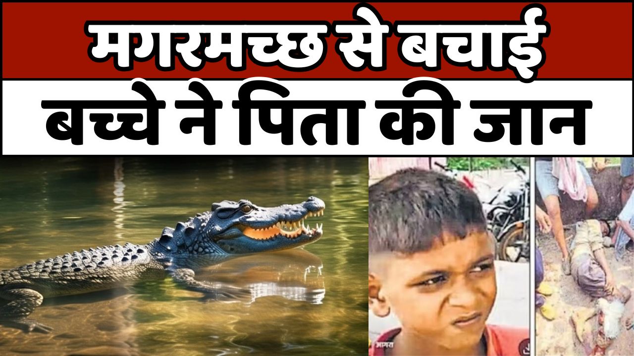 आगरा: मगरमच्छ ने किसान पर किया जानलेवा हमला