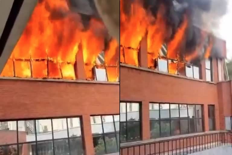 WhatsApp Image 2025 11 30 at 3.26.39 AM