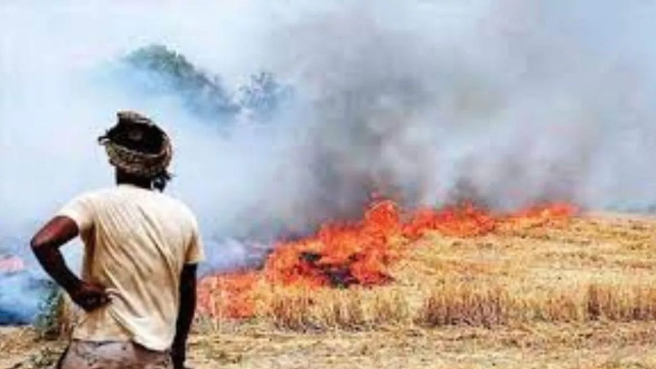 पंजाब-हरियाणा के किसानों पर पराली जलाने पर सख्त कार्रवाई