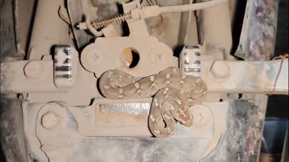 चलती बाइक में युवक को सांप ने डसा