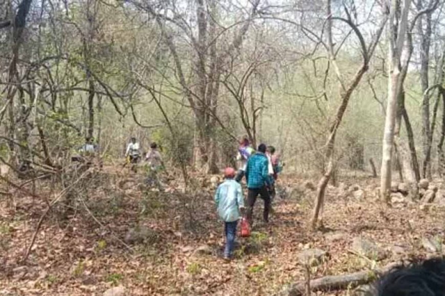 CG Crime News: 9वीं के छात्र का जंगल में मिला शव, चेहरे पर पत्थर से हमला, हत्या की आशंका 10 3754 cg crime news 9596261254 998315 494842224768209 866842 591164693634 084550477