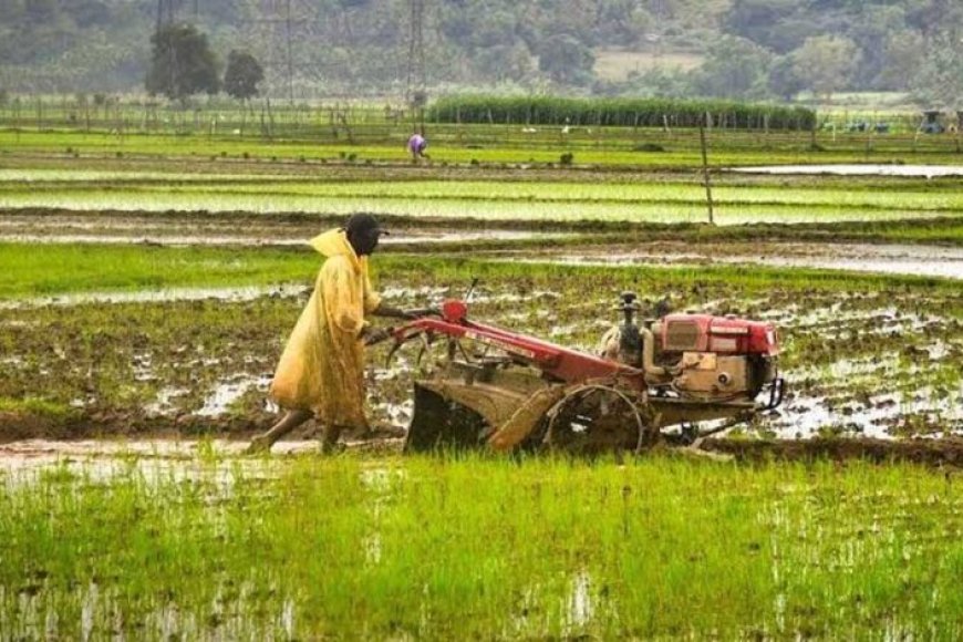 धमतरी में कृषि क्रांति: 22 नई सहकारी समितियों से किसानों की राह आसान 6 5235 814549198811438 117070951 425864898009 668789090409134503173 22 646