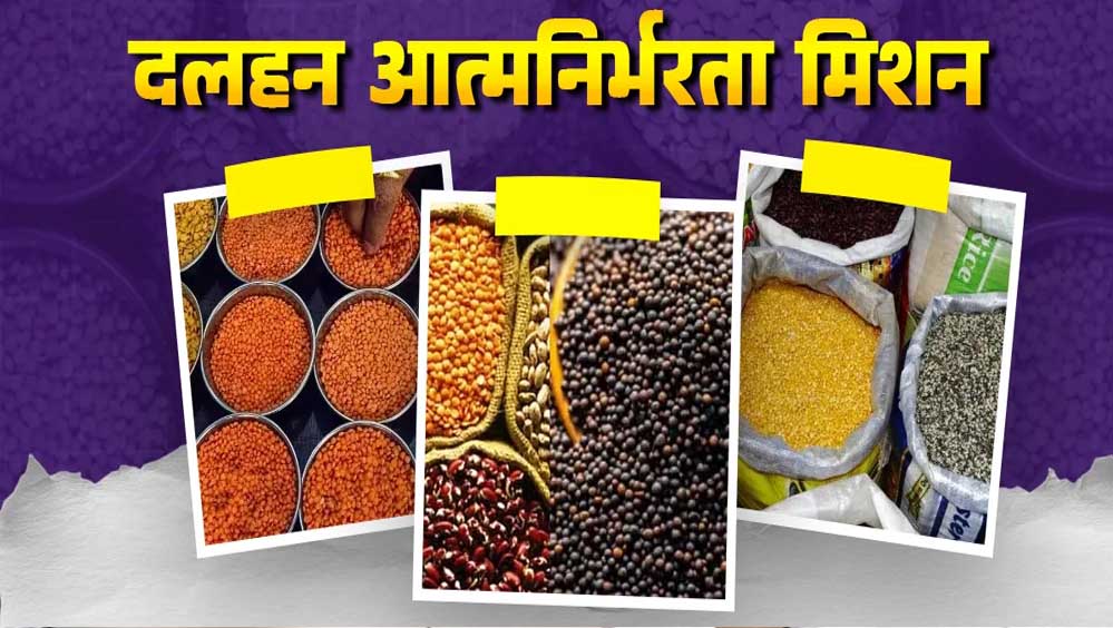 मिशन फॉर आत्मनिर्भरता इन पल्सेस की गतिविधियों की मॉनिटरिंग के लिए राज्य संचालन समिति गठित 5 20A 217 1