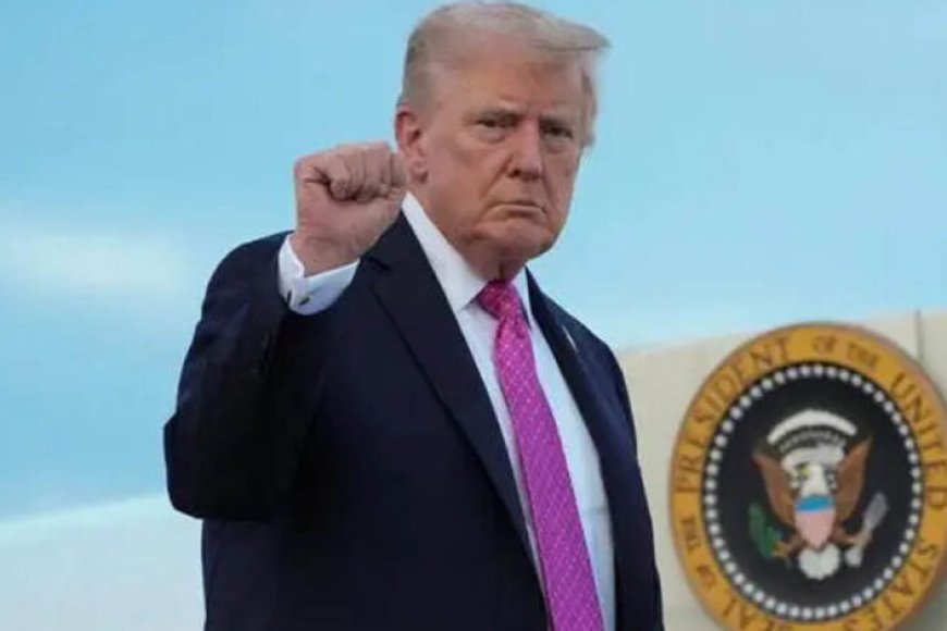 6887 240154128624263454397764470 715458 920781114101997 316582 782381681