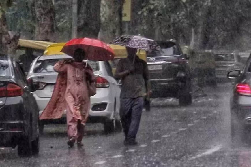 7242 mp weather alert 739657183364 429425068859810384 773419059 712470357 744209052