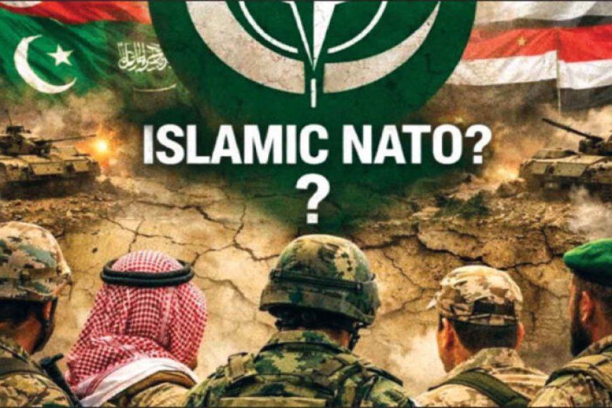 7980 858397579056433519877397 nato 127475 684643 673659165189735 517285790