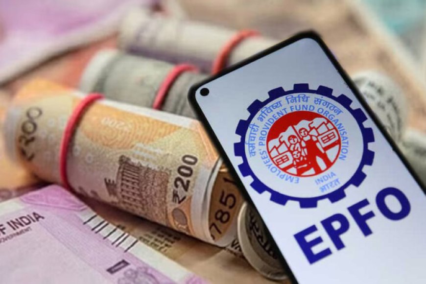 8281 epfo 078752 103154527328 pf 862913 393800972056460 8 106630863529 707199685