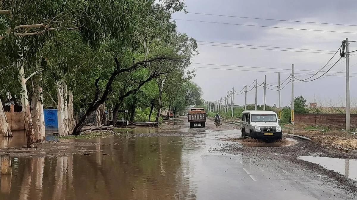 हरियाणा में आज बदलेगा मौसम! 5 जिलों में बारिश का अलर्ट 2 हरियाणा में आज बदलेगा मौसम! 5 जिलों में बारिश का अलर्ट