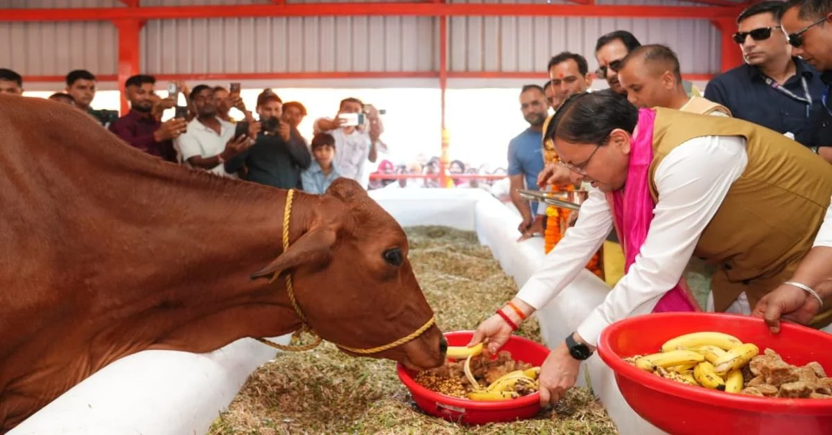 Uttarakhand News: खटीमा में विकास का डबल डोज! गौशाला का लोकार्पण, 108.84 करोड़ की 15 योजनाओं का शिलान्यास; 34.44 करोड़ से सड़क का होगा कायाकल्प…. 28 ngng