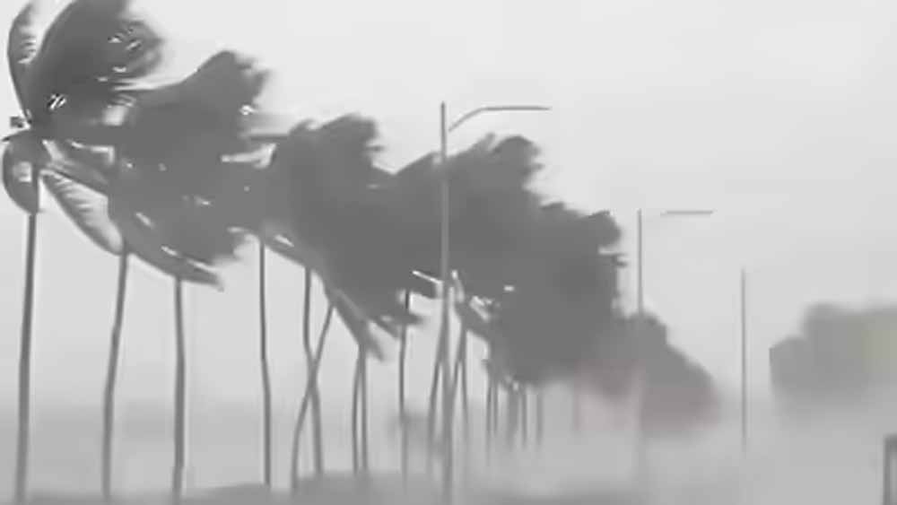 rain 2 10